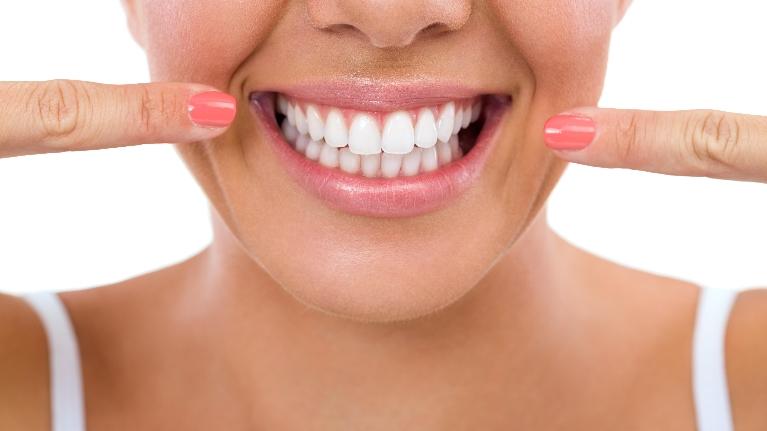 What Does Each Tooth Do?
