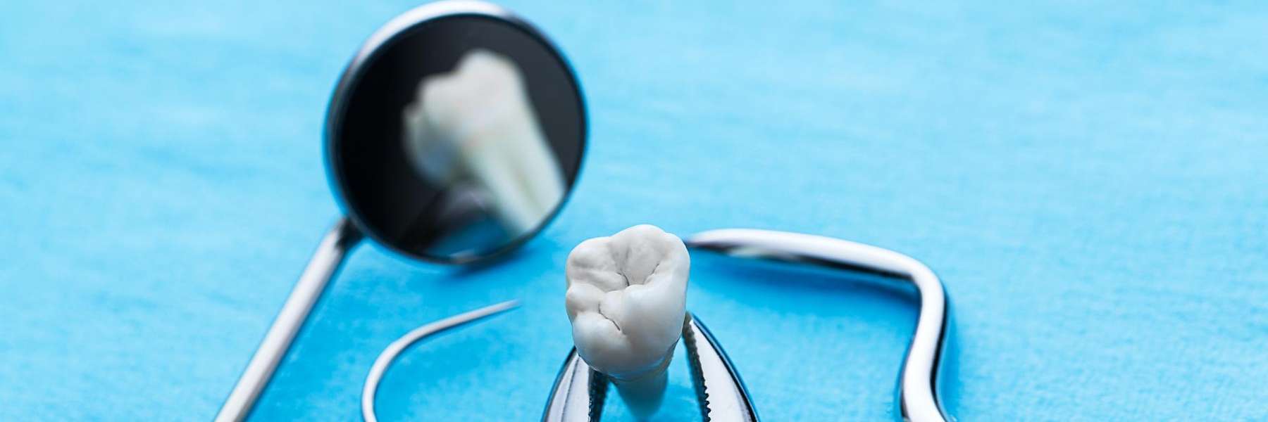 A dental mirror and a tooth model in Elk Grove Village