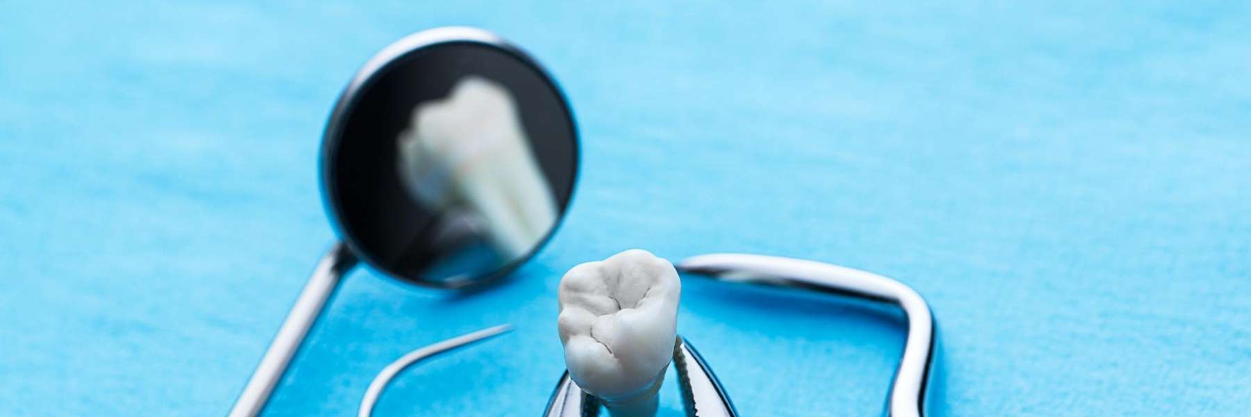 A dental mirror and a tooth model in Elk Grove, IL